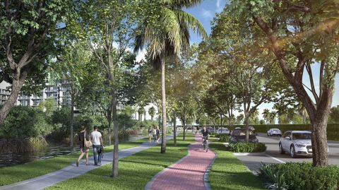 Morros Zoe, en medio de la más fascinante biodiversidad