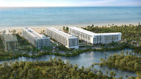 Entre la naturaleza y el mar