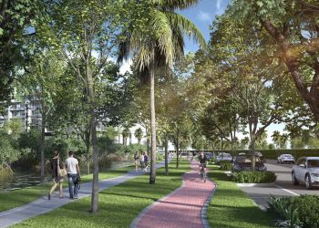 Morros Zoe, lo mejor de la playa, en medio de la más fascinante biodiversidad