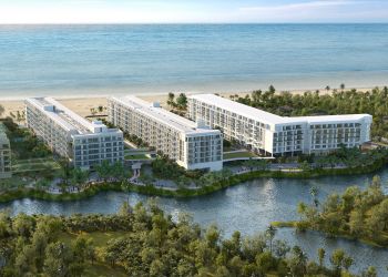 Entre la naturaleza y el mar